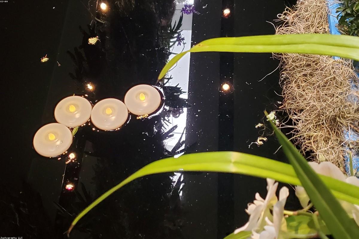 Clôture bois et portail coulissant posés devant une maison à Strasbourg
